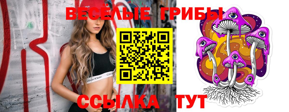 Галлюциногенные грибы MAGIC MUSHROOMS Димитровград
