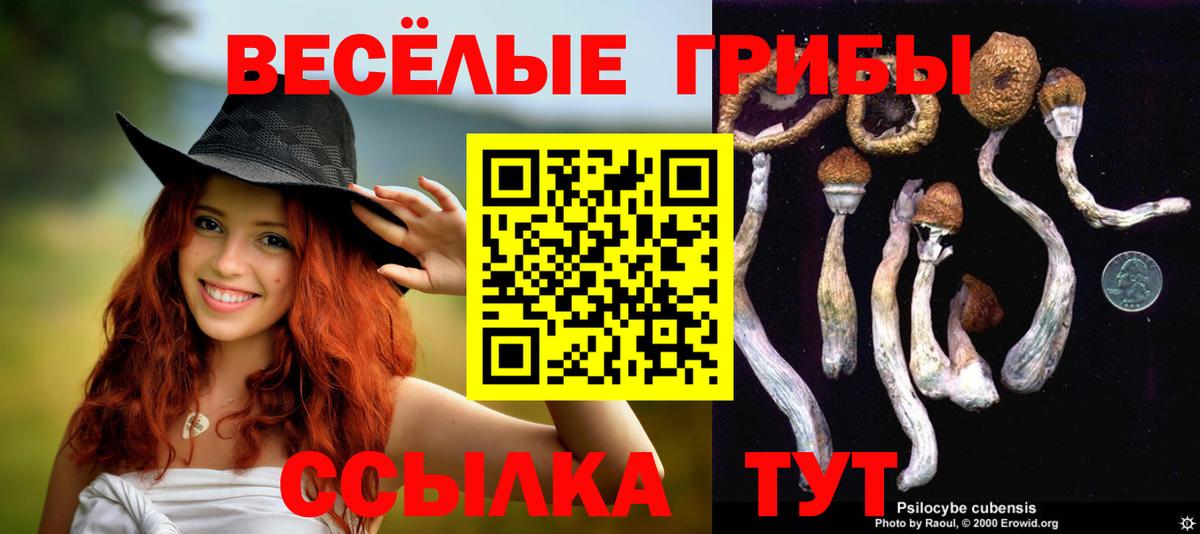 Псилоцибиновые грибы прущие грибы  Псилоцибиновые грибы ЛСД  Димитровград  Вход с VPN 